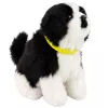LEAN TOYS Interaktiver Plüschhund mit weichem Fell, Border Collie Rasse