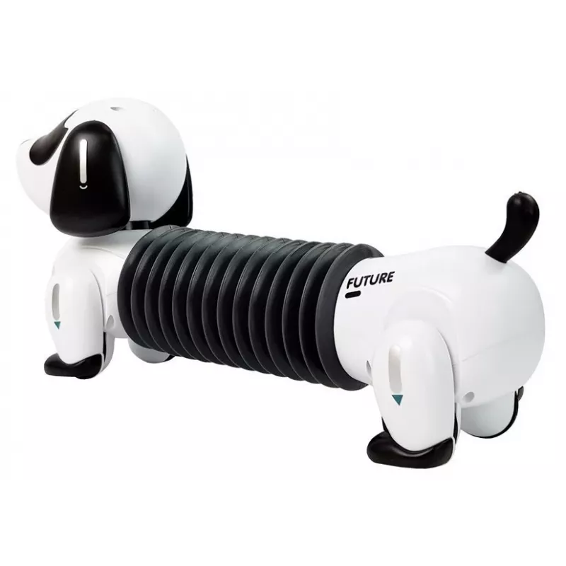 LEAN TOYS Interaktiver Roboterhund, ferngesteuert, Musik, Sound, Fernbedienungsball