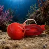 LEAN TOYS Jellyfish Rubber Figurine Stretchable Realistic Sea Animal 9 cm