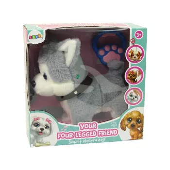 LEAN TOYS Plüschhund interaktiv pädagogisch Leine Lieder Spaziergänge