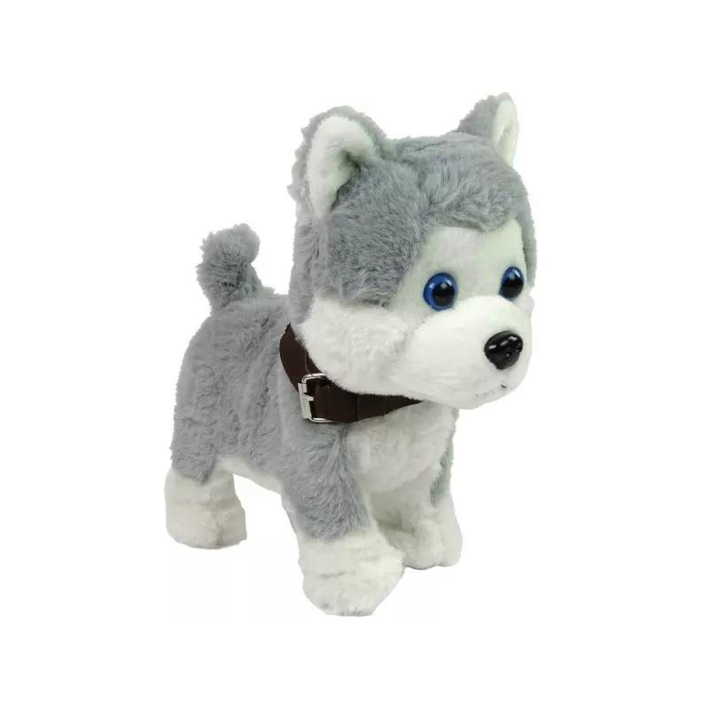 LEAN TOYS Plüschhund interaktiv pädagogisch Leine Lieder Spaziergänge