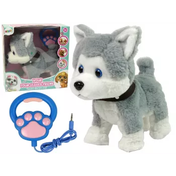 LEAN TOYS Plüschhund interaktiv pädagogisch Leine Lieder Spaziergänge