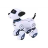 LEAN TOYS Ferngesteuerter interaktiver Roboterhund – Tanzen, Singen, programmierbare Befehle, Blau | DistriNode SA