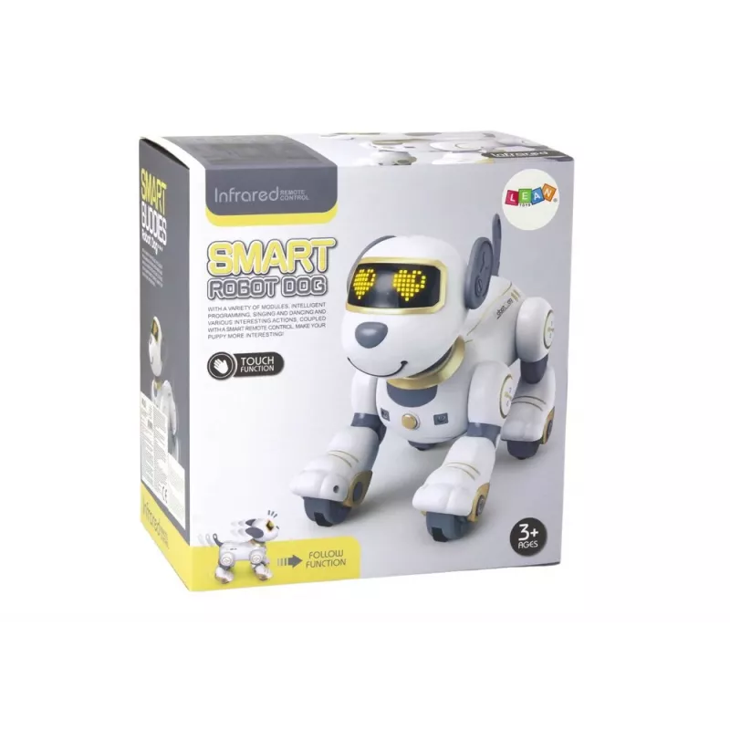 LEAN TOYS ferngesteuerter interaktiver Roboterhund – Gold, tanzend, programmierbar, wiederaufladbar
