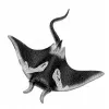 LEAN TOYS Stachelrochen Gummi-Figur dehnbar realistischer Ozeanfisch 13cm
