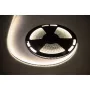 LED-Kabel 25m Rebel 300x5050 SMD Neutralweiß Wasserdicht 12V