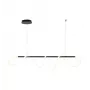LED LENSER Pendelleuchte Tigris Long 4000K Schwarz