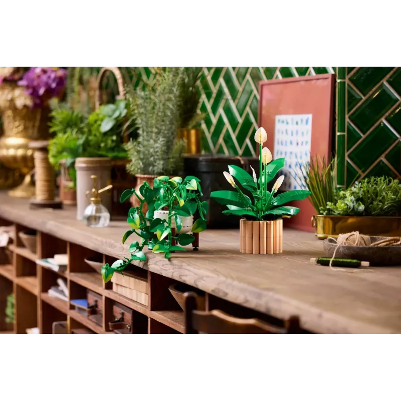 LEGO BOTANICALS 11512 Hängender Drachen-Efeu Bauset