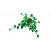 LEGO BOTANICALS 11512 Hängender Drachen-Efeu Bauset