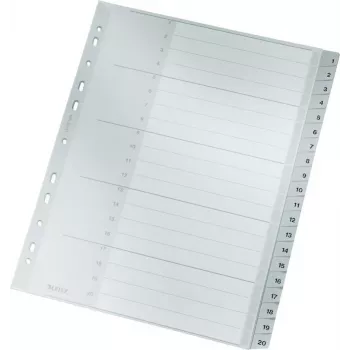 LEITZ 1284 A4 extrabreite nummerierte Registerblätter 1-20, grau, 20-teilig, Polypropylen, 0,12 mm, mit beschriftbarem Deckblatt 1284-00