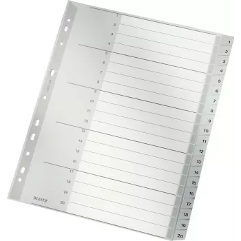 LEITZ 1284 A4 extrabreite nummerierte Registerblätter 1-20, grau, 20-teilig, Polypropylen, 0,12 mm, mit beschriftbarem Deckblatt 1284-00