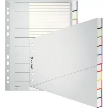 Leitz A4 Blanko-Register, Polypropylen, Grau, 10-teilig, Universallochung 1270