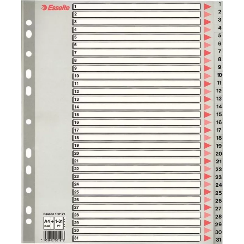 LEITZ A4 Extra Breite Blanko Kunststoff-Register, 20-teilig, Universal-Lochung, Transluzent Weiß 1278-00-00