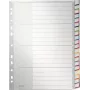 LEITZ A4 Extra Breite Blanko Kunststoff-Register, 20-teilig, Universal-Lochung, Transluzent Weiß 1278-00-00