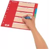 LEITZ Kartonregister, Blanko-Tabs, A4, 5-teilig, mehrfarbig, 160 g/m², mit rotem beschriftbarem Deckblatt 250 g/m² (4386-60-00)