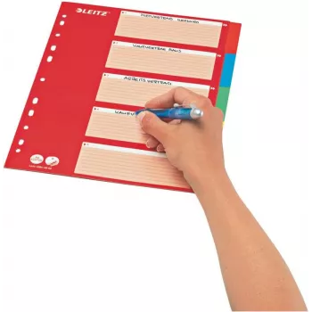 LEITZ Kartonregister, Blanko-Tabs, A4, 5-teilig, mehrfarbig, 160 g/m², mit rotem beschriftbarem Deckblatt 250 g/m² (4386-60-00)