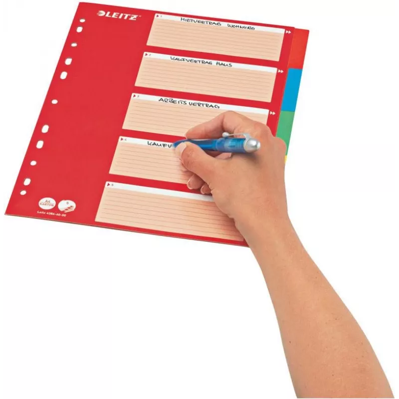 LEITZ Kartonregister, Blanko-Tabs, A4, 5-teilig, mehrfarbig, 160 g/m², mit rotem beschriftbarem Deckblatt 250 g/m² (4386-60-00)