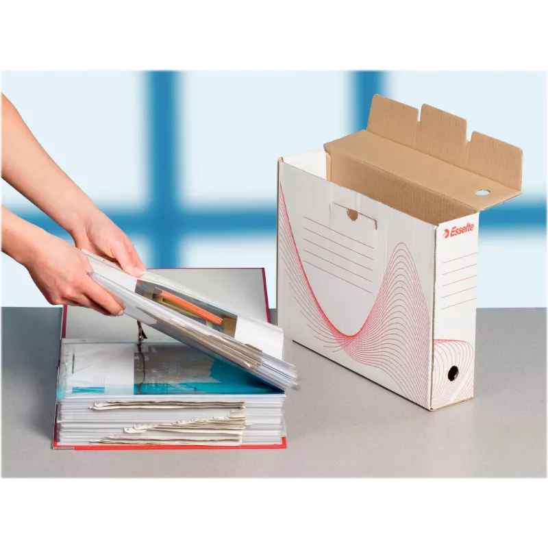 LEITZ Esselte Archivbox, 100 mm Rücken, weißer Wellpappe mit vorgedruckten Linien zur Organisation (128201)