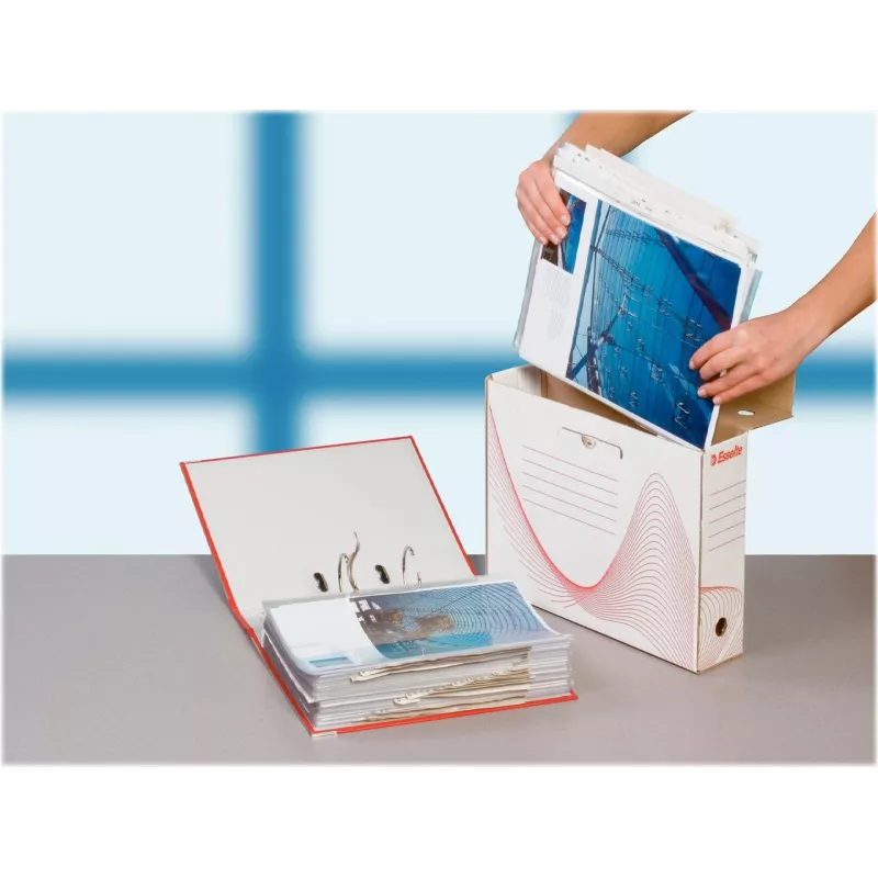 LEITZ Esselte Archivbox, 100 mm Rücken, weißer Wellpappe mit vorgedruckten Linien zur Organisation (128201)