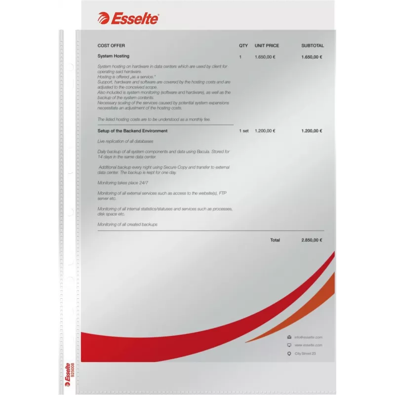 LEITZ Esselte Standard Dokumentenhülle A4, Polypropylen, Kristallklar, 0,06 mm, Oben offen, Dokumentensicher, Mehrfachlochung, Verstärkter Rand, 100er Pack (925008)