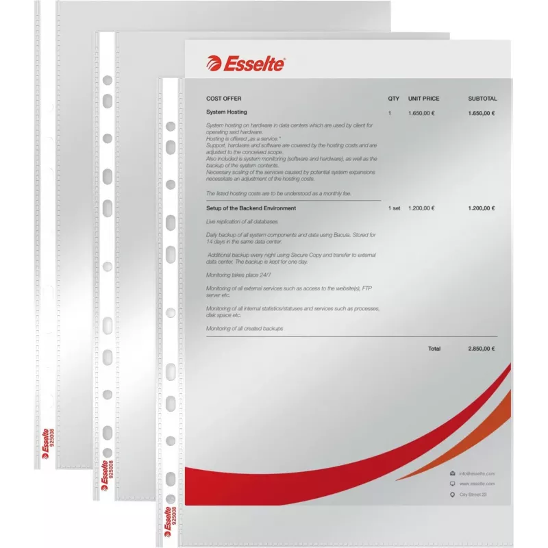 LEITZ Esselte Standard Dokumentenhülle A4, Polypropylen, Kristallklar, 0,06 mm, Oben offen, Dokumentensicher, Mehrfachlochung, Verstärkter Rand, 100er Pack (925008)