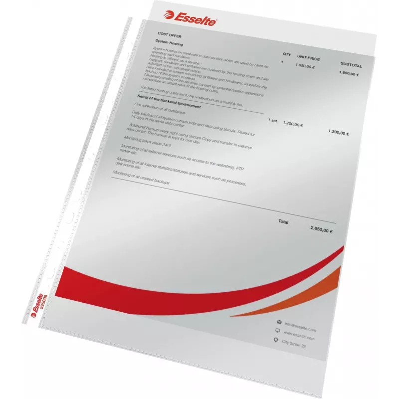LEITZ Esselte Standard Dokumentenhülle A4, Polypropylen, Kristallklar, 0,06 mm, Oben offen, Dokumentensicher, Mehrfachlochung, Verstärkter Rand, 100er Pack (925008)