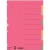 LEITZ Extra stabile Karton-Register, Blanko-Tabs, A4, 10-teilig, Mehrfarbig, 230 g/m², 5-farbiger durchgefärbter Karton (4359-00-00)
