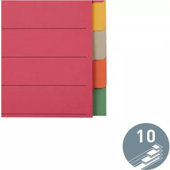 LEITZ Extra stabile Karton-Register, Blanko-Tabs, A4, 10-teilig, Mehrfarbig, 230 g/m², 5-farbiger durchgefärbter Karton (4359-00-00)