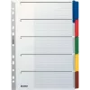 LEITZ Mylar Karton-Register, Blanko, A4, 5-teilig, graue Taben, 160 g/m², mit beschriftbarem Deckblatt 4320-00-00