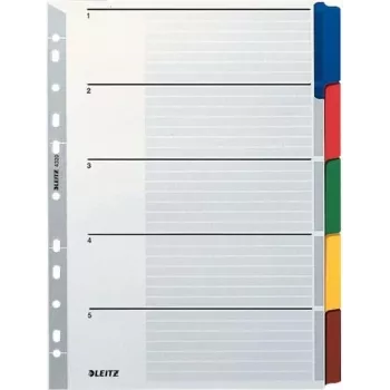 LEITZ Mylar Karton-Register, Blanko, A4, 5-teilig, graue Taben, 160 g/m², mit beschriftbarem Deckblatt 4320-00-00