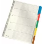 LEITZ Mylar Karton-Register, Blanko, A4, 5-teilig, graue Taben, 160 g/m², mit beschriftbarem Deckblatt 4320-00-00