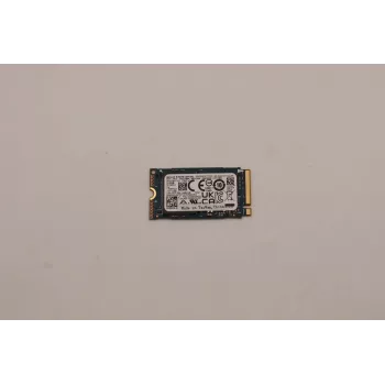 Lenovo 256GB M.2 2242 PCIe Gen3 x4 NVMe interne SSD (5SS0V26422)
