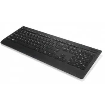 Lenovo Professional Wireless Keyboard 2.4 GHz QWERTZ Schwarz