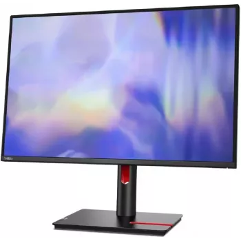 Lenovo T24D-30 24 inch IPS WUXGA Monitor - Schwarz