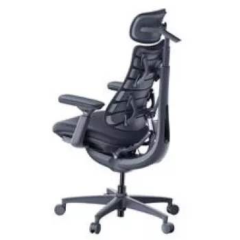 LiberNovo Omni Ergonomischer Bürostuhl mit aktiver Rückenlehne und Massagefunktion, Schwarz