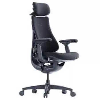 LiberNovo Omni Ergonomischer Bürostuhl mit aktiver Rückenlehne und Massagefunktion, Schwarz