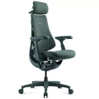 LiberNovo Omni Ergonomischer Bürostuhl mit aktiver Lendenwirbelstütze und Massage - Grün