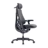 LiberNovo Omni GEN 48 cm ergonomischer Stuhl, Graphit