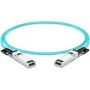 Lightwin 25G SFP28 Aktives Optisches Kabel (AOC) 30m LWO-AOC-SFP28-30M