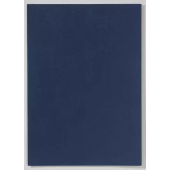 LMG Signaltechnologie 100 Binding Back Covers für Ringordner, A4, Blau, Karton, 250 g/m²