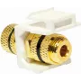 LogiLink NK0028 Flache Lautsprecher-Wandplatte – Vergoldete Polklemmen, Weiß