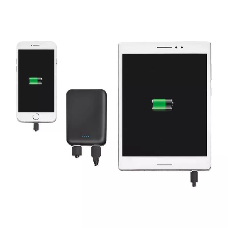 LogiLink PA0202 Powerbank 5000mAh Schwarz