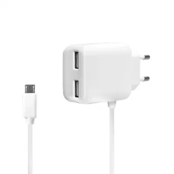 LogiLink Universal Wall USB Charger - Netzteil - 2,1 A - 2 Ausgangsanschlüsse (USB)