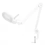 LogiLink WZ0058 LED-Vergrößerungslampe mit Echtglaslinse 127 mm 5 Dioptrien Weiß