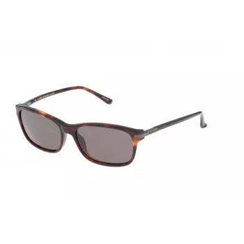 LOZZA SL4029M564APP Unisex-Sonnenbrille - 56/16/140 mm - UV400-Schutz