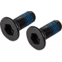 Lucky Scooter Bremsbolzen - M6 x 20mm Innensechskant, schwarz oxidiert, 2er-Pack