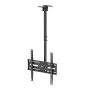 MACLEAN MC-175 Deckenhalterung für 37–75 Zoll Fernseher, 50 kg, VESA 400x400, Schwarz