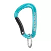 Mammut Mini Karabiner Classic Keylock S - Silber/Grau