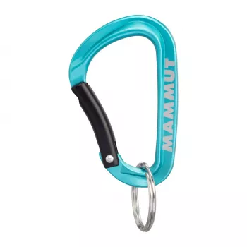 Mammut Mini Karabiner Classic Keylock S - Silber/Grau