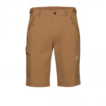 Mammut Runbold IV Herren Shorts Claystone